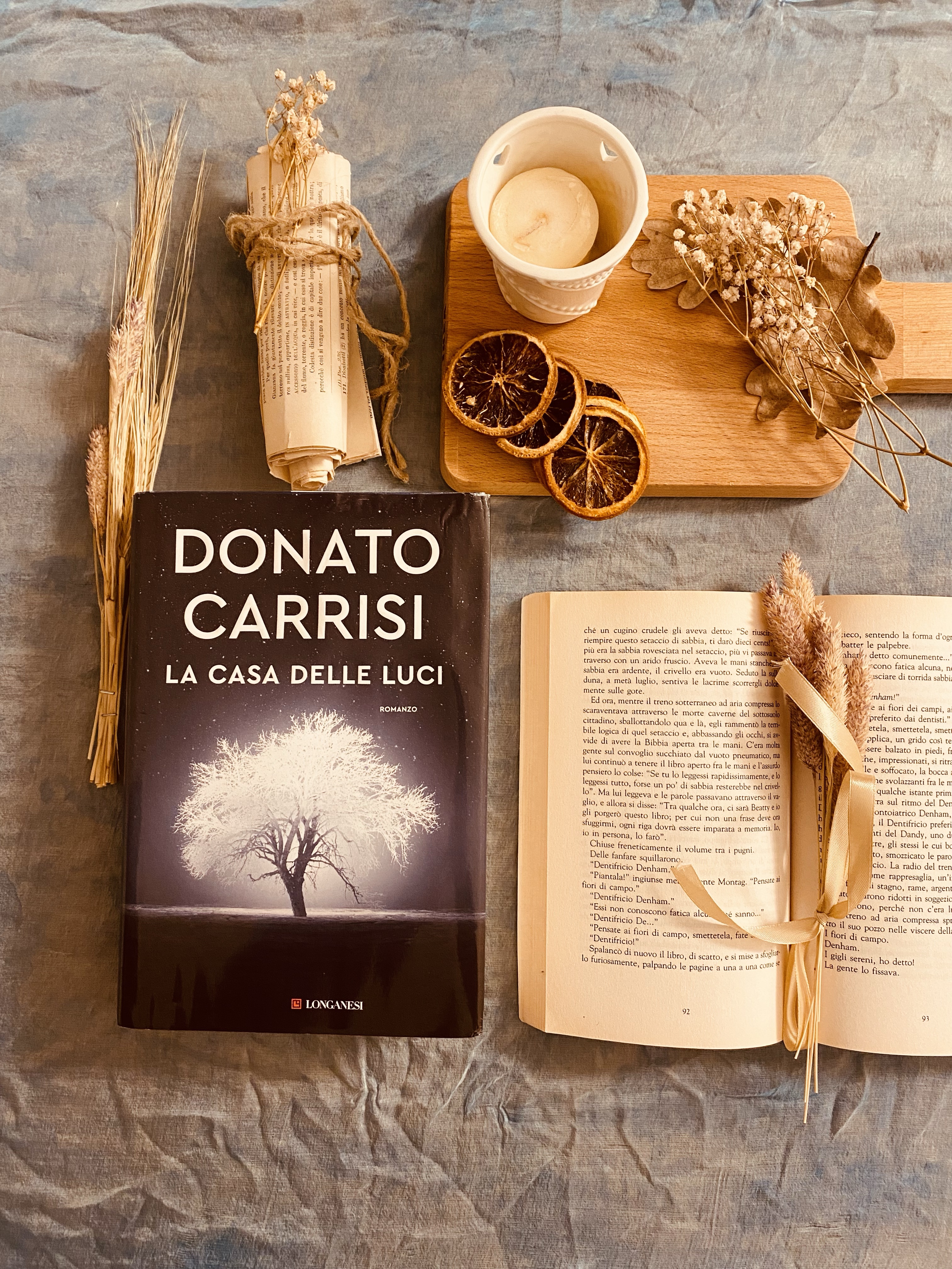 LA CASA DELLE LUCI di Donato Carrisi – Libri nell'aria